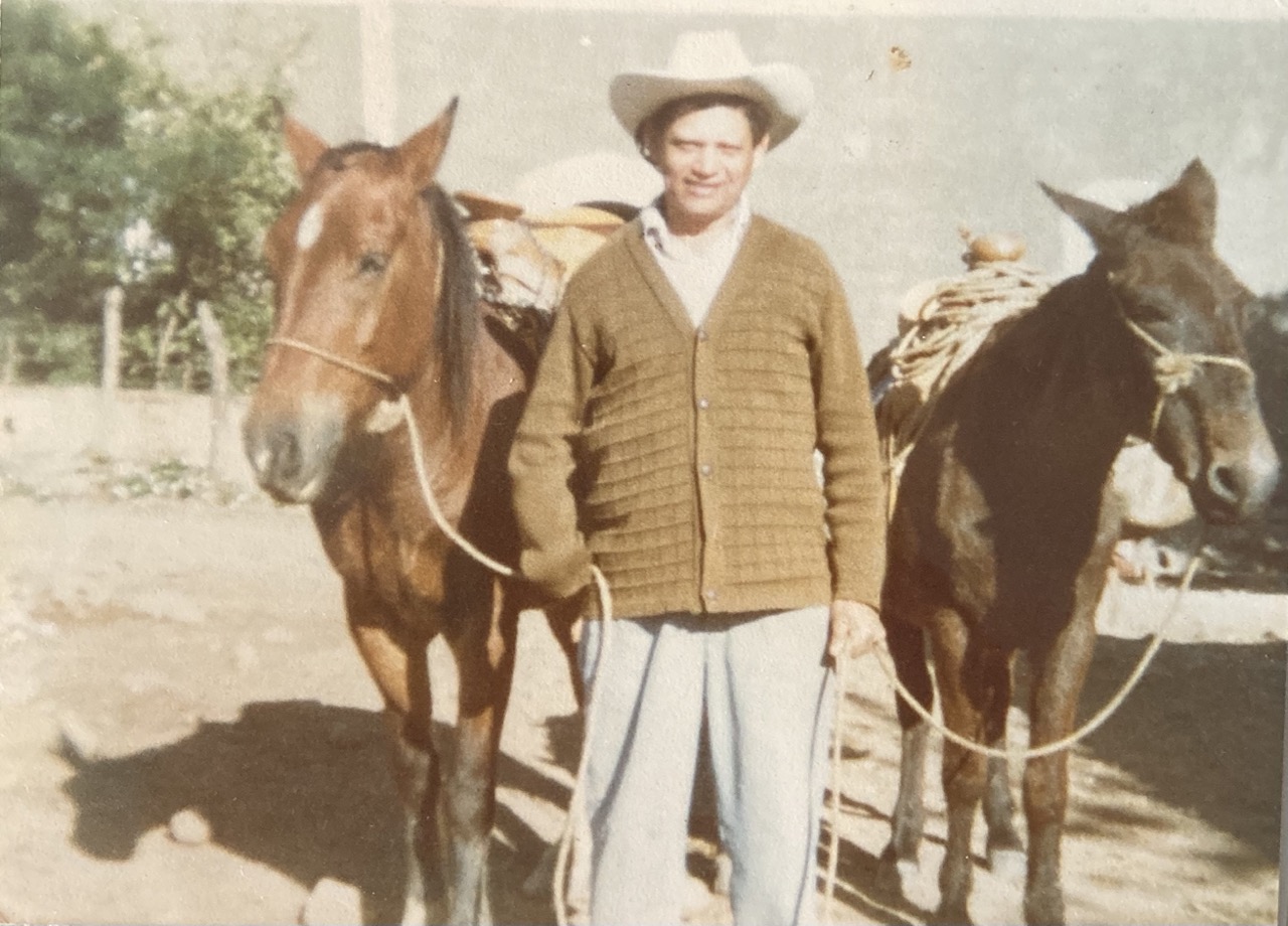 Don Chevio hauling corn with his horses