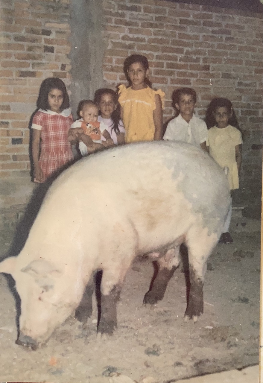 Don Chevio raised organic pigs to support his family